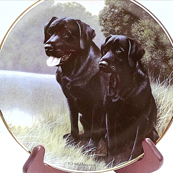 Nigel Hemming Plates Sporting & Canine Companion - Picture 1 of 6